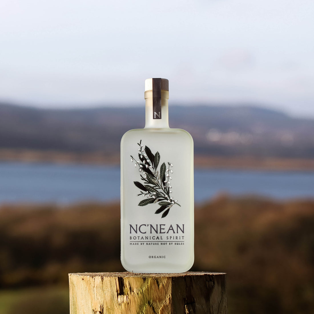 What is a Botanical Spirit?