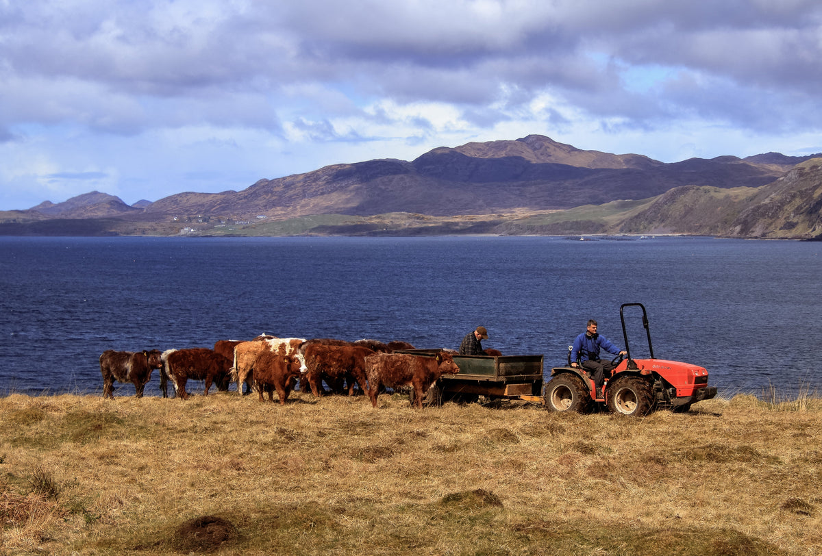 WHY YOU SHOULD CARE ABOUT THE SUSTAINABILITY OF YOUR WHISKY