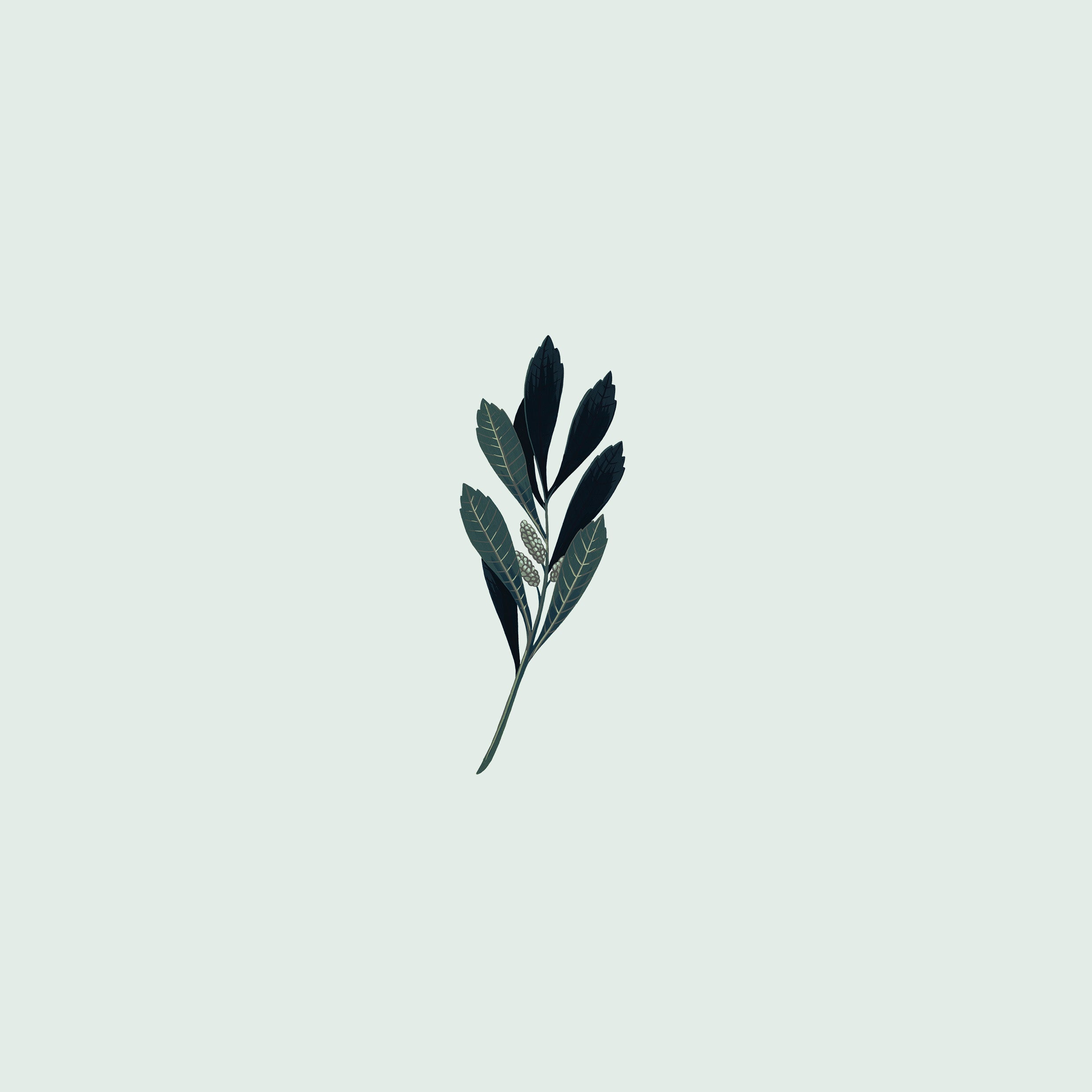 Organic spirits