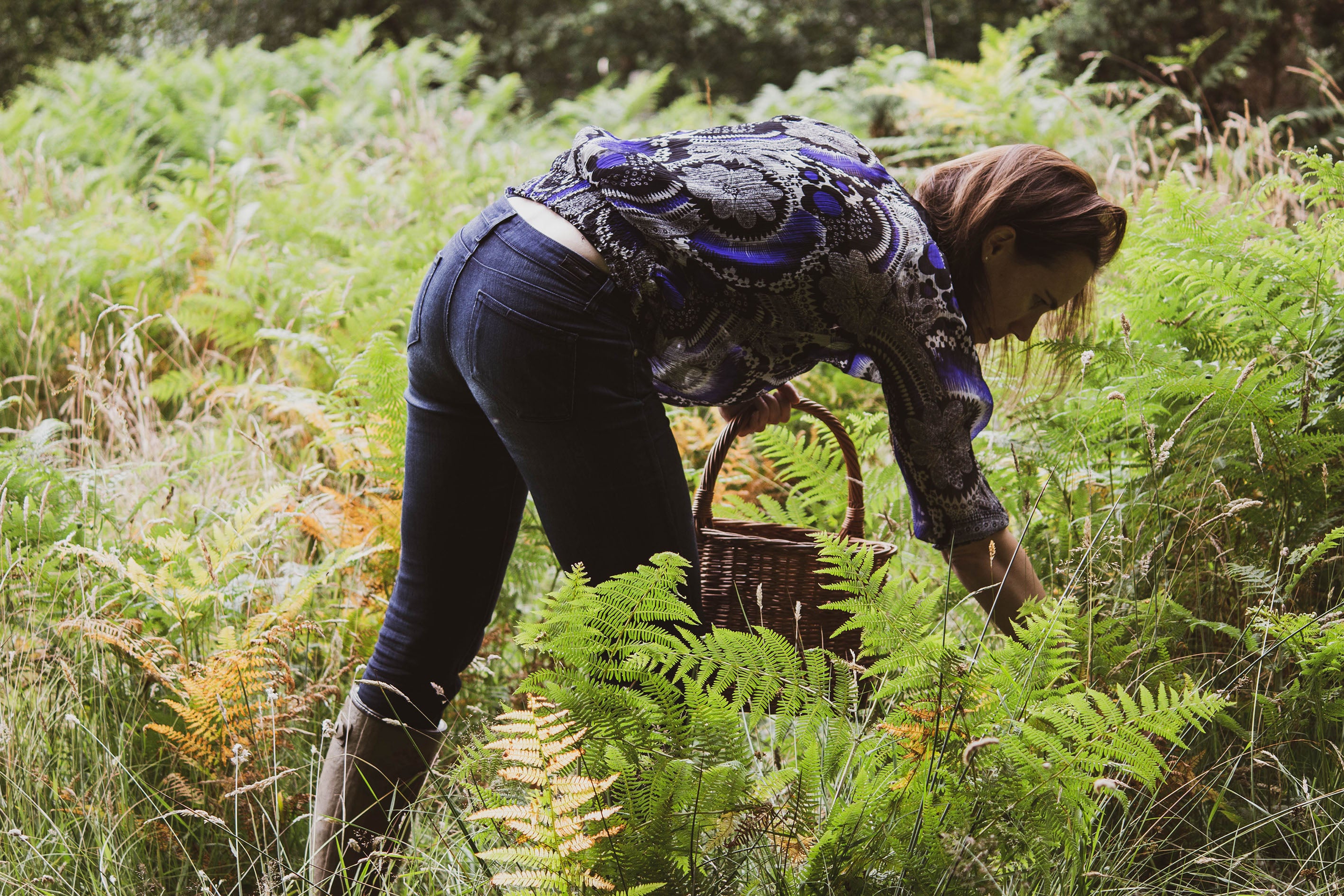 Foraging sustainably 