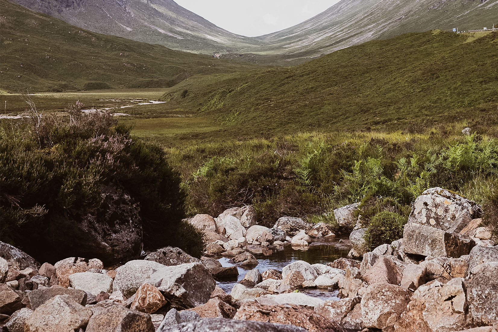 Sustainable whisky