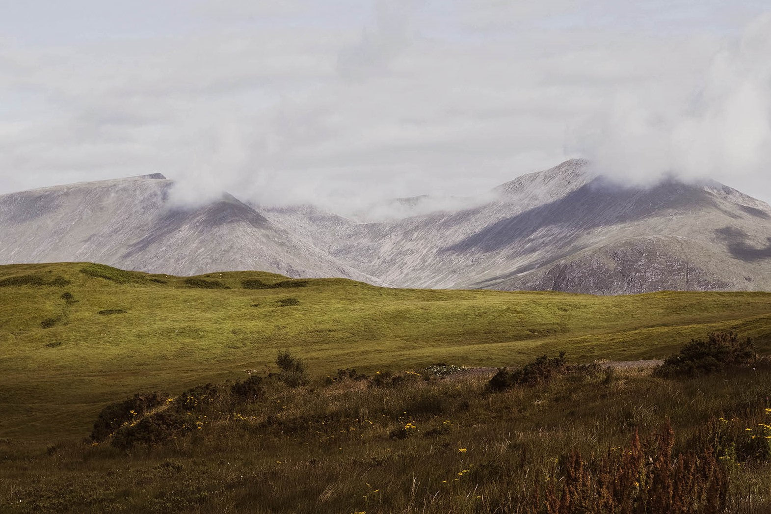New Scottish distillery