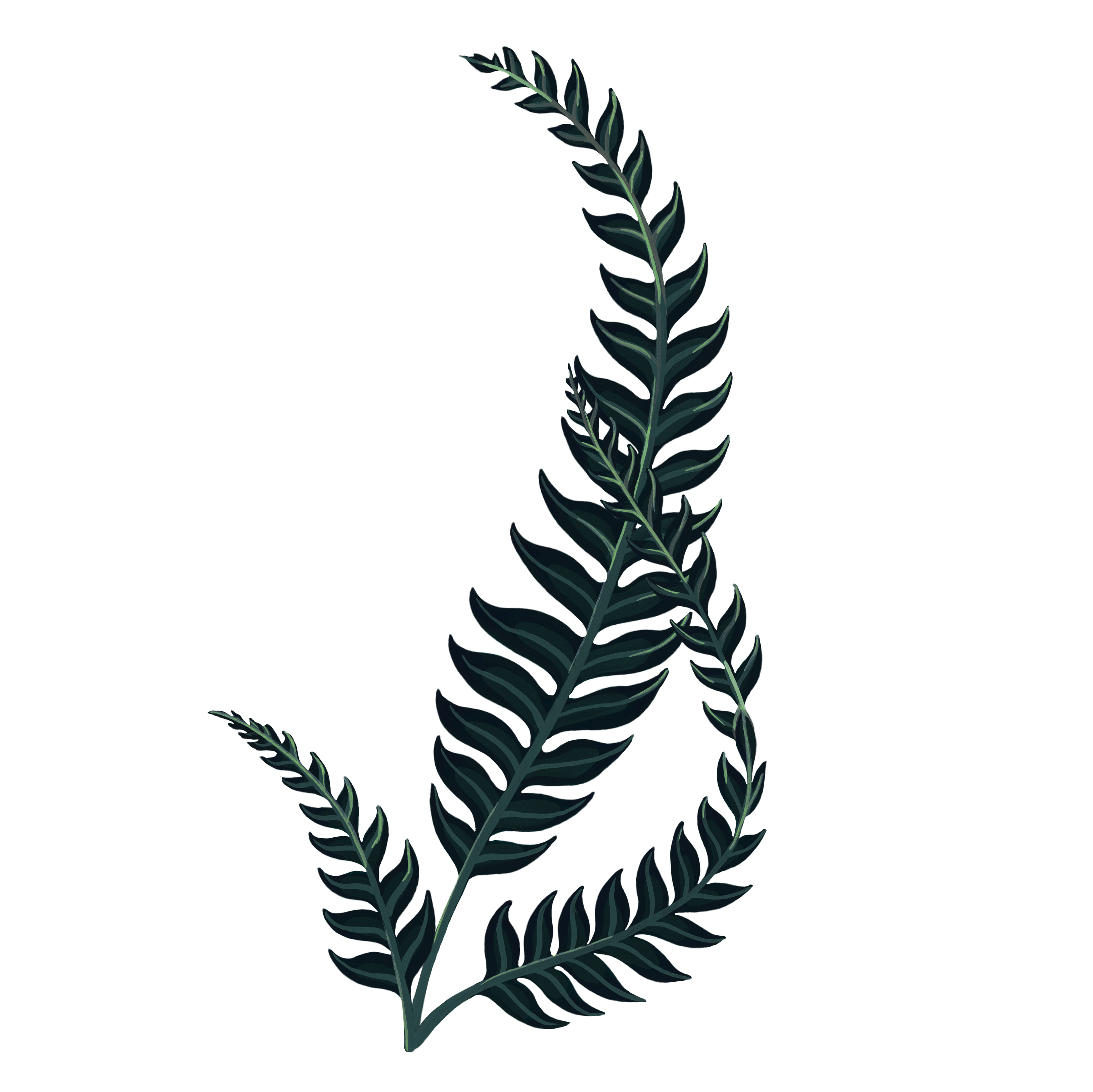 Foraging sustainably 