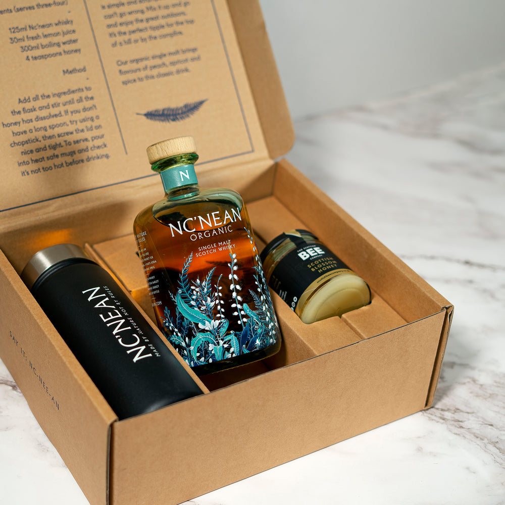 HOT TODDY SET